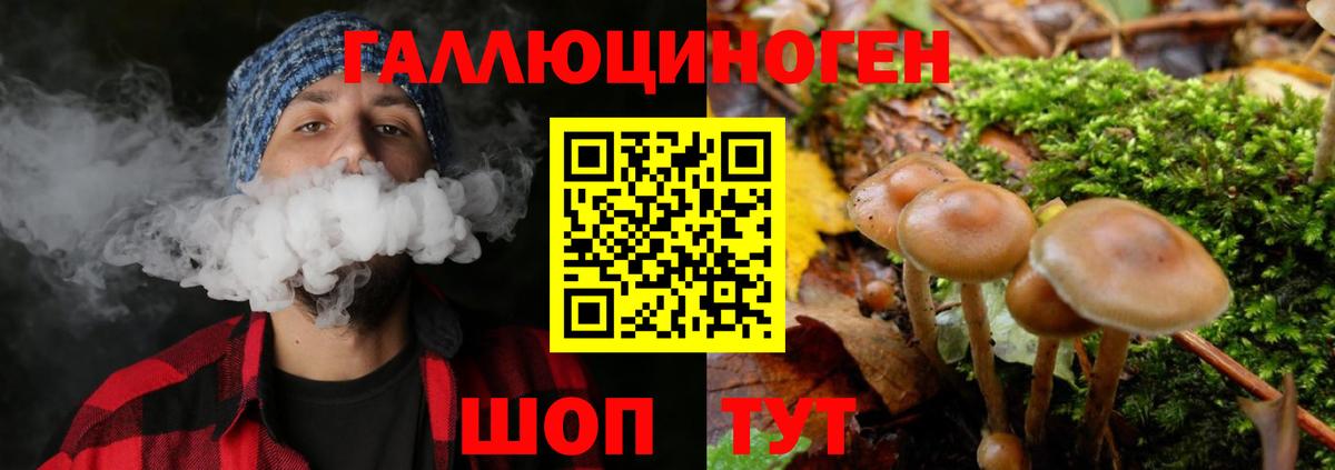 Бузулук  Галлюциногенные грибы MAGIC MUSHROOMS  Вход с VPN 